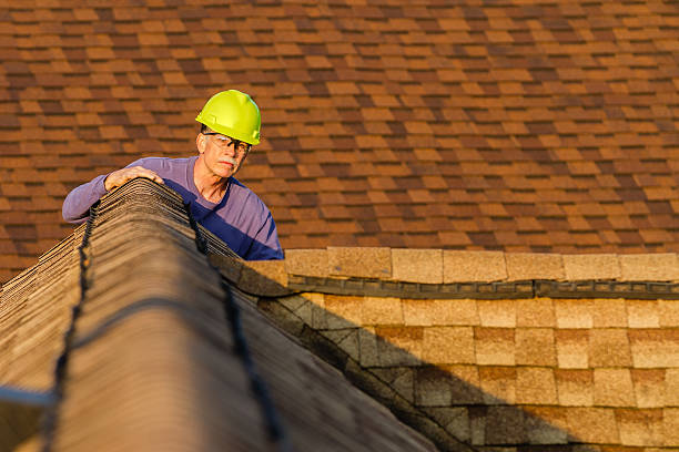 Best Storm Damage Roof Repair  in Grand Bay, AL